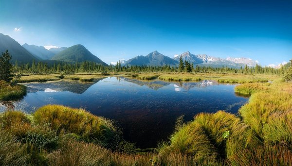 Rôle de la location de dernière minute dans l'économie du tourisme