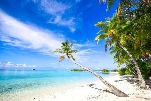 Adaptation à la pandémie : Comment la location de maison de vacances a changé avec la Covid-19