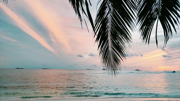 Comment négocier le prix de son voyage auprès d'une agence de voyages?